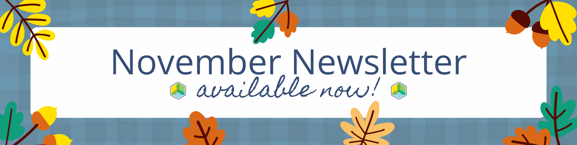 November 2024 Newsletter Available Now