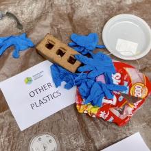 separating waste into categories for a waste audit