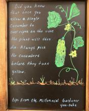 Chaulk board promoting Montauk's seed library